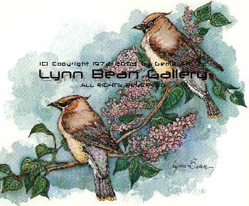 Cedar Waxwings.