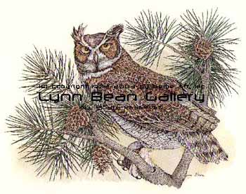 Great Horned Owl.