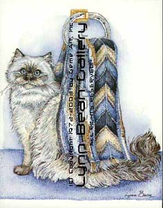 Persian Cat with Bath Towel.