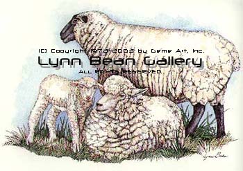 Three Sheep.