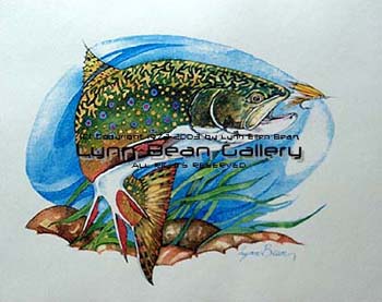 Brook Trout.