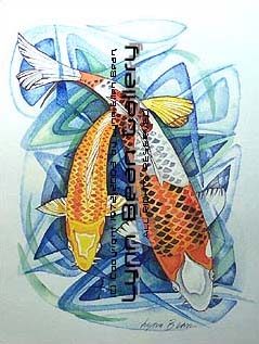 Koi 01.