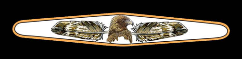 LYNN BEAN BRACELET BY-42 — HARRIS HAWK.