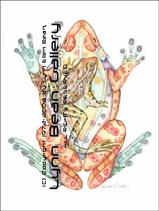 Frog Fetish.