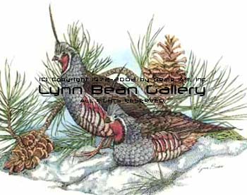 Mountain Quail.