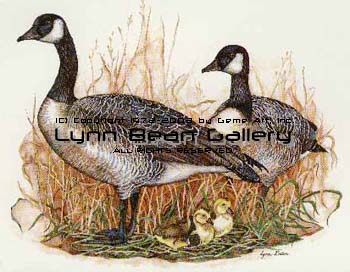 Geese Pair.