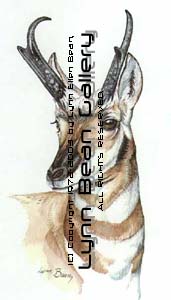 Antelope Head.