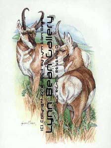Antelope Pair.