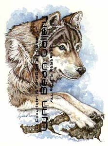 Blue-eyed Wolf.