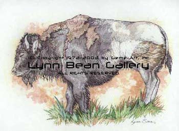 Buffalo Cow.