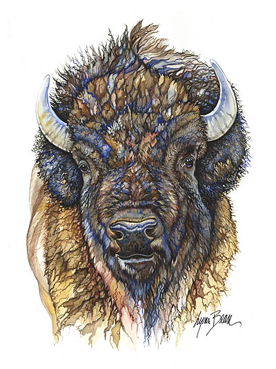 BUFFALO HEAD 2.