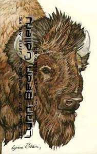 Buffalo Head.
