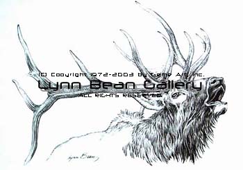 Elk - Pencil.
