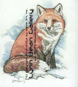 Fox.