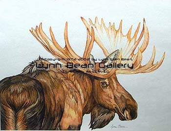 Moose 2.