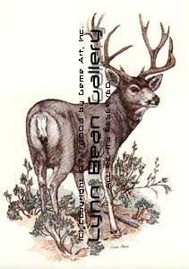 Single Mule Deer.