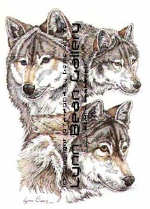 Three Wolf Heads.